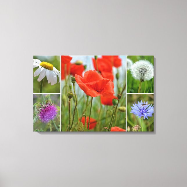 Wiesenblumen Canvas Print (Front)