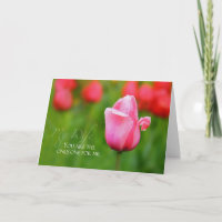Wife Anniversary With Pink Tulip