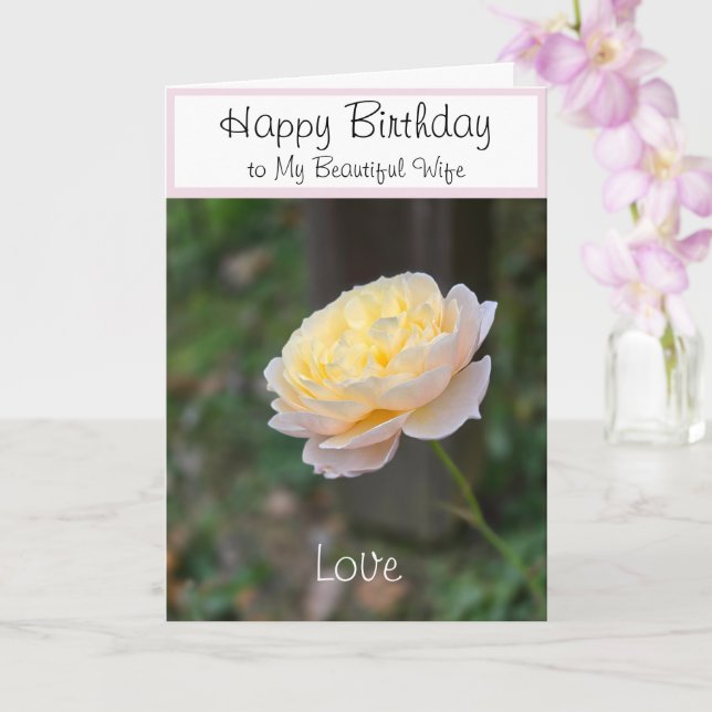Wife Birthday Flowers or for Anyone Card (Orchid)