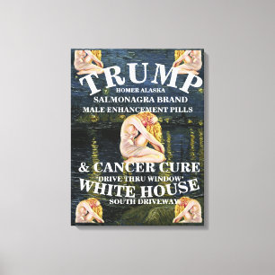 WIFEY TRAD WIFE COST AFFORD PRICE HEALTHCARE CARE CANVAS PRINT