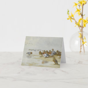 Wigeon and Teal by the water's edge, Art Card