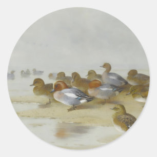 Wigeon and Teal by the water's edge, Art Classic Round Sticker