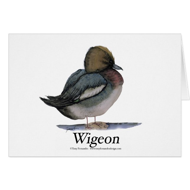 wigeon, tony fernandes (Front Horizontal)