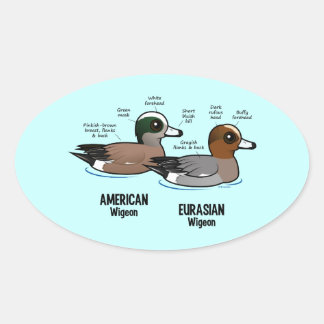Wigeon vs Wigeon Oval Sticker