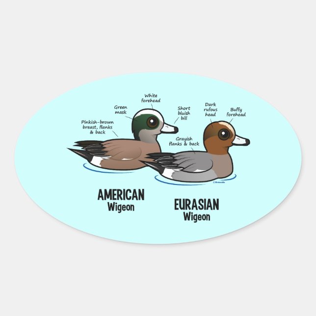 Wigeon vs Wigeon Oval Sticker (Front)