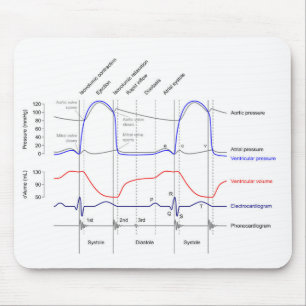 Wiggers Diagram cardiaccycle events left ventricle Mouse Mat