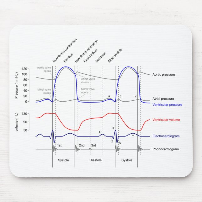 Wiggers Diagram cardiaccycle events left ventricle Mouse Mat (Front)