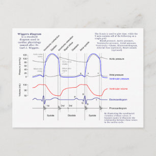 Wiggers Diagram Postcard