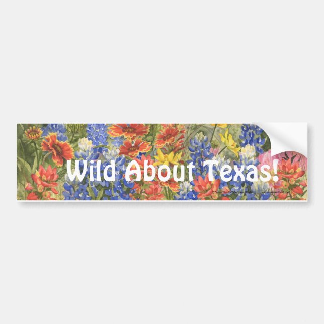 Wild About Texas! Bumper Sticker (Front)
