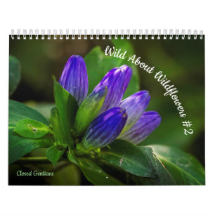 Wild About Wildflowers #2 Calendar