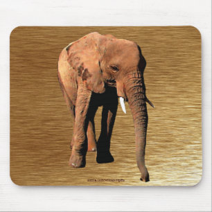 Wild Africa Animal-lovers Big Five Mouse Mat