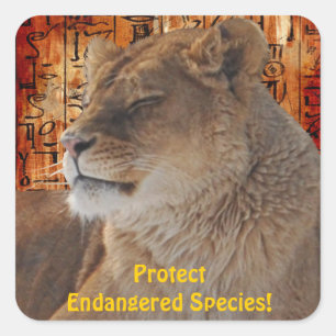 Wild Africa Animal-lovers Big Five Square Sticker