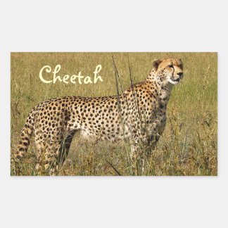 Wild African Cheetah in Savannah Grasses Rectangular Sticker