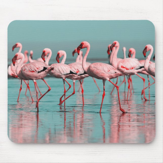 Wild African flamingos Mouse Mat (Front)