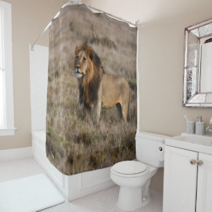Wild African Lion Shower Curtain
