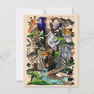 Wild African Savanna Animals Postcard