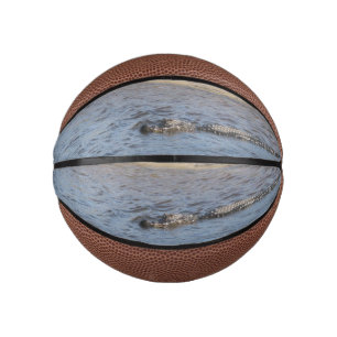 Wild Alligator at Florida Riverbank Mini Basketball