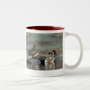 wild american wigeon duck two-toned ceramic mug