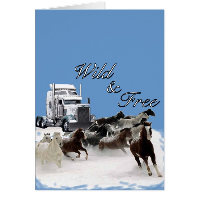 Wild &amp; Free (Front)