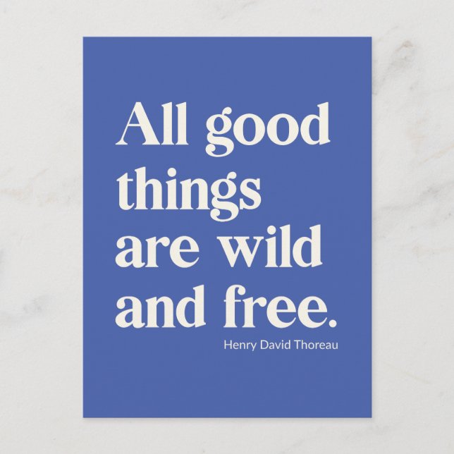 Wild and Free Inspirational Positivity Quote Blue Postcard (Front)