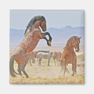 Wild and Free magnet