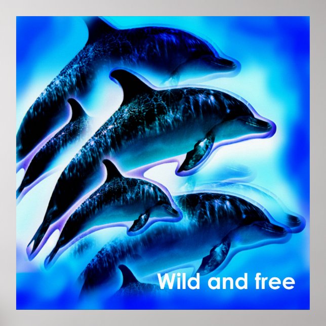 Wild and free poster (Front)