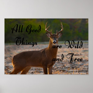 Wild and Free, Thoreau Poster