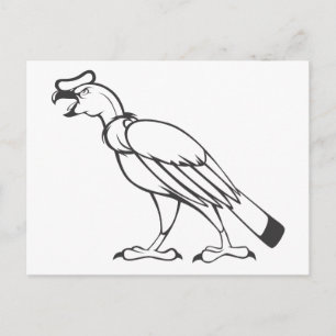 Wild Andean Condor Bird in Black and White Postcard