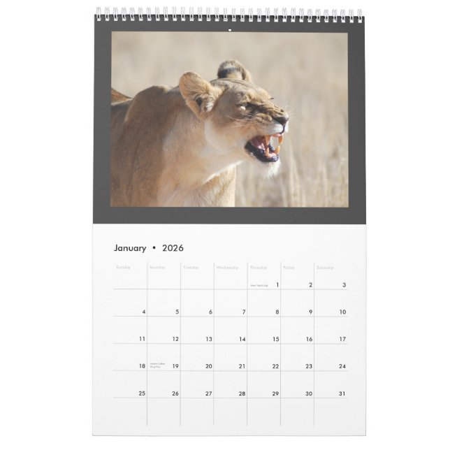 Wild animal Africa 2013 PERSONALIZE Calendar (Jan 2026)