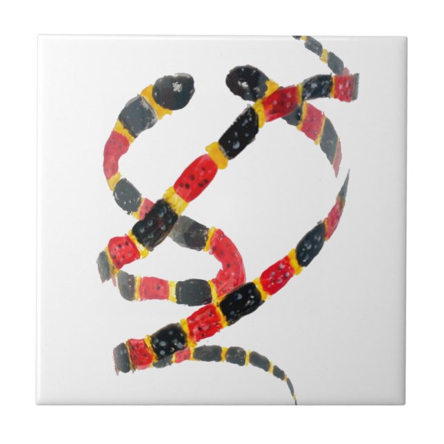 Wild Animal Art Coral Snake Tile (Front)