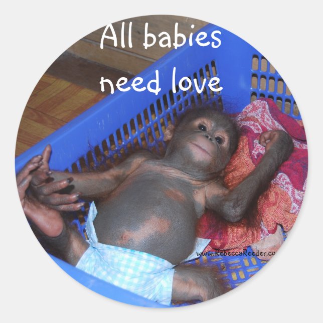 Wild Animal Baby Rescue Classic Round Sticker (Front)