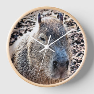 WILD ANIMAL CAPYBARA CLOCK