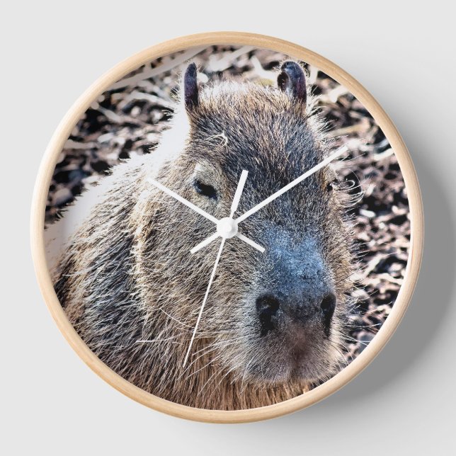 WILD ANIMAL CAPYBARA CLOCK (Front)