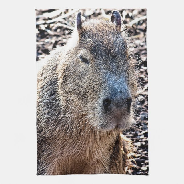 WILD ANIMAL CAPYBARA TEA TOWEL (Vertical)
