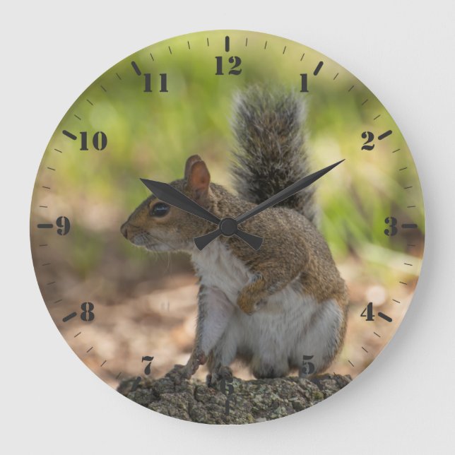 Wild animal cute grey squirrel large clock (Front)