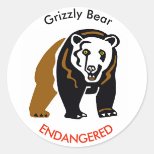 Wild animal Grizzly BEAR - Endangered - Wildlife - Classic Round Sticker