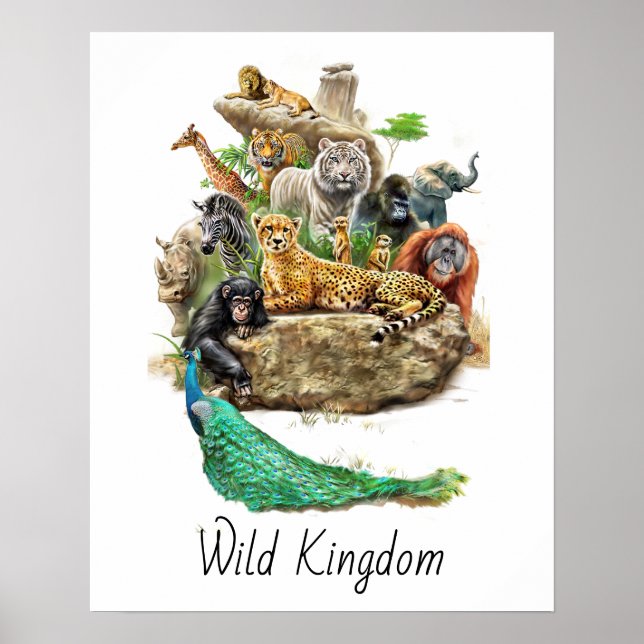 Wild Animal Kingdom Customisable Poster (Front)