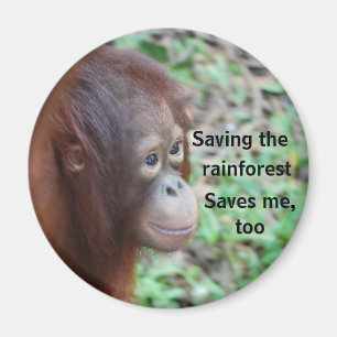 Wild Animal Lifesaving Charity Magnet