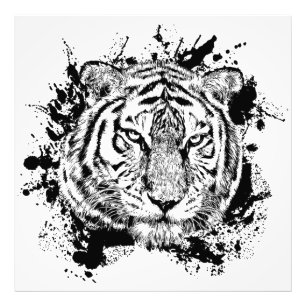 Wild Animal Tiger Jungle Safari Africa World N Photo Print