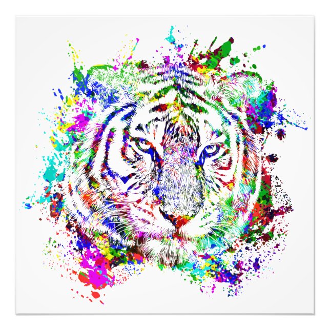 Wild Animal Tiger Jungle Safari Africa World N Photo Print (Front)