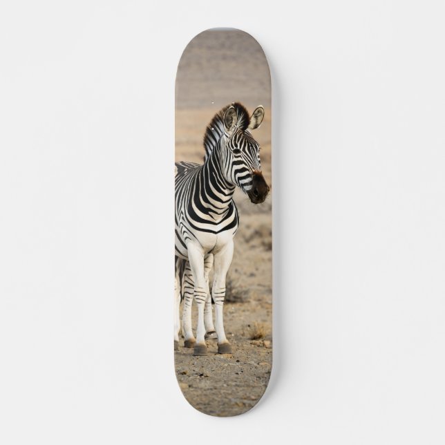 Wild Animal Zebra Skateboard (Front)