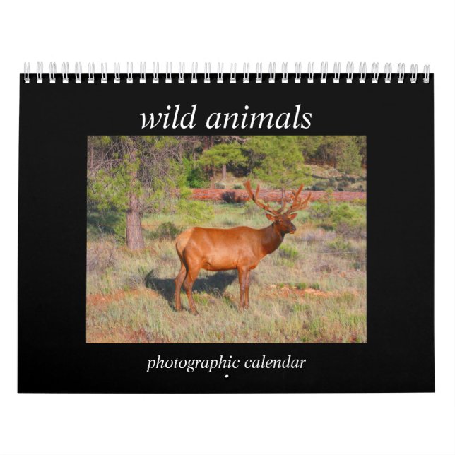 wild animals 2026 calendar (Cover)
