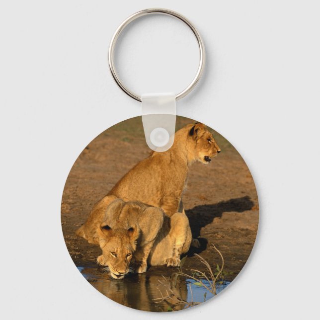wild animals 300 key ring (Front)