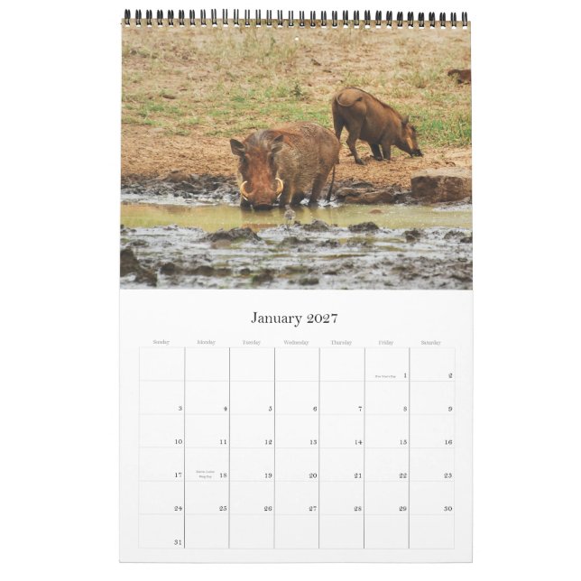 Wild animals Africa safari 2012 Calendar (Jan 2027)