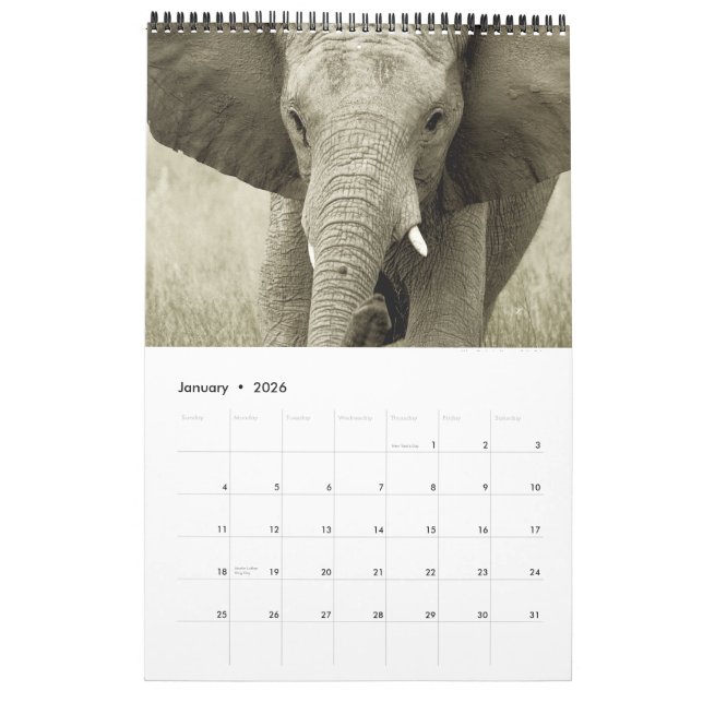 Wild animals Africa safari 2012 Calendar (Jan 2026)