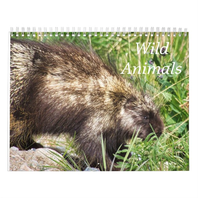 Wild Animals Calendar (Cover)