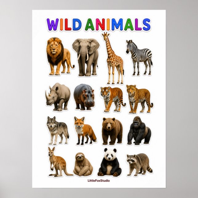 Wild animals chart (Front)