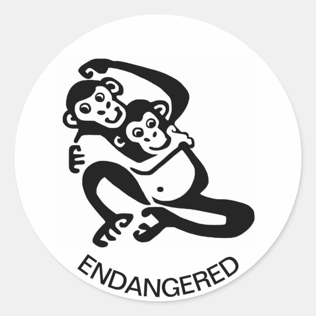  Wild animals - Cool  BONOBO - Chimpanzee -Africa Classic Round Sticker (Front)