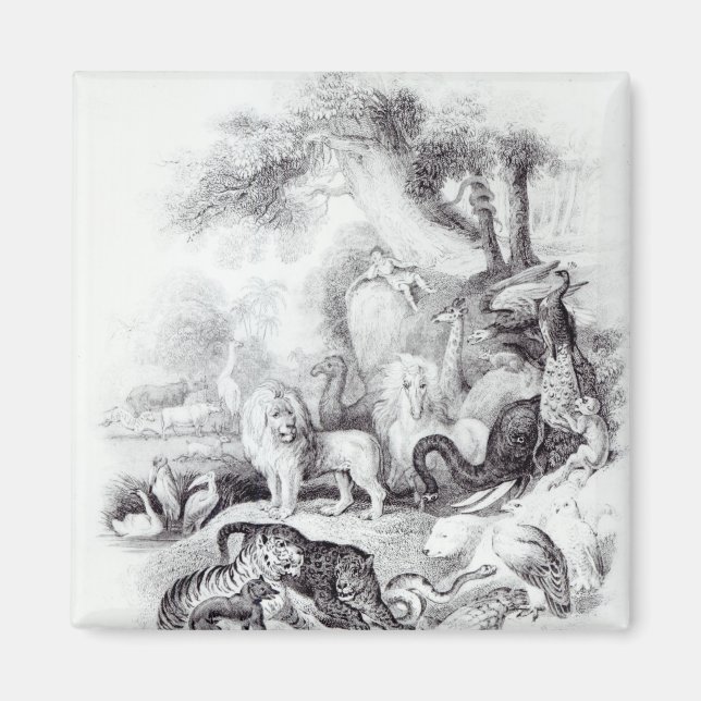 Wild Animals from 'A History of the Earth Magnet (Front)