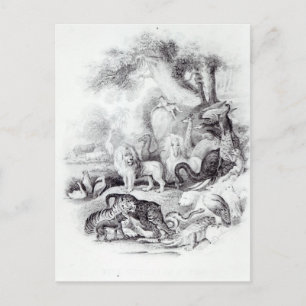 Wild Animals from 'A History of the Earth Postcard